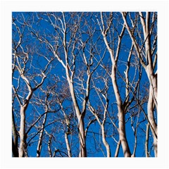 Trees On Blue Sky Single-sided Large Glasses Cleaning Cloth by Elanga