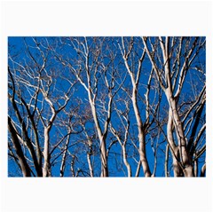 Trees On Blue Sky Twin-sided Handkerchief by Elanga