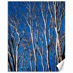 Trees On Blue Sky 11  X 14  Unframed Canvas Print