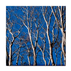 Trees On Blue Sky Face Towel