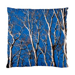 Trees On Blue Sky Twin-sided Cushion Case by Elanga