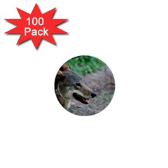 Red Wolf 1  Mini Button (100 Pack) by AnimalLover