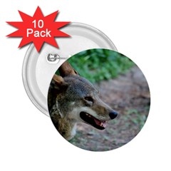 Red Wolf 2 25  Button (10 Pack)