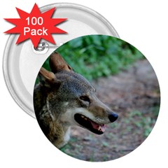 Red Wolf 3  Button (100 Pack) by AnimalLover