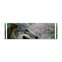 Red Wolf Bumper Sticker by AnimalLover