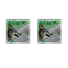 Red Wolf Cufflinks (square) by AnimalLover