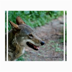 Red Wolf Glasses Cloth (small, Two Sided)