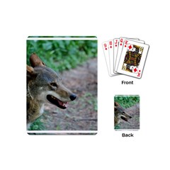 Red Wolf Playing Cards (mini) by AnimalLover