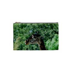 Cute Giraffe Cosmetic Bag (small) by AnimalLover