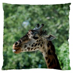 Cute Giraffe Large Cushion Case (one Side) by AnimalLover