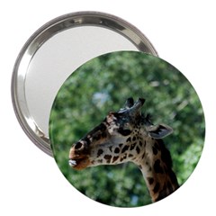 Cute Giraffe 3  Handbag Mirror by AnimalLover