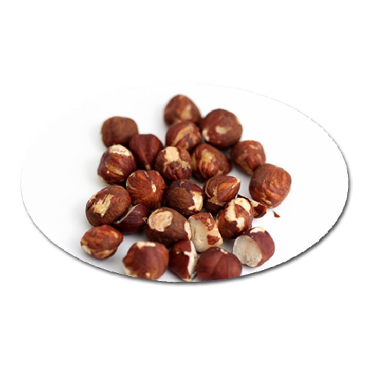 Hazelnuts Magnet (Oval)