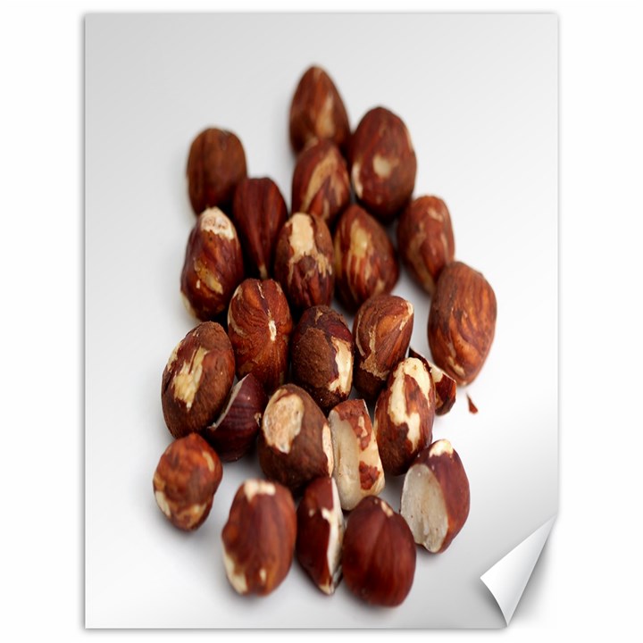 Hazelnuts Canvas 12  x 16  (Unframed)