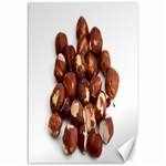 Hazelnuts Canvas 12  x 18  (Unframed) 11.88 x17.36  Canvas - 1