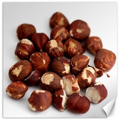 Hazelnuts Canvas 16  X 16  (unframed) by hlehnerer