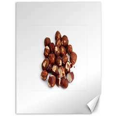 Hazelnuts Canvas 36  X 48  (unframed) by hlehnerer