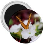 Butterfly 159 3  Button Magnet Front