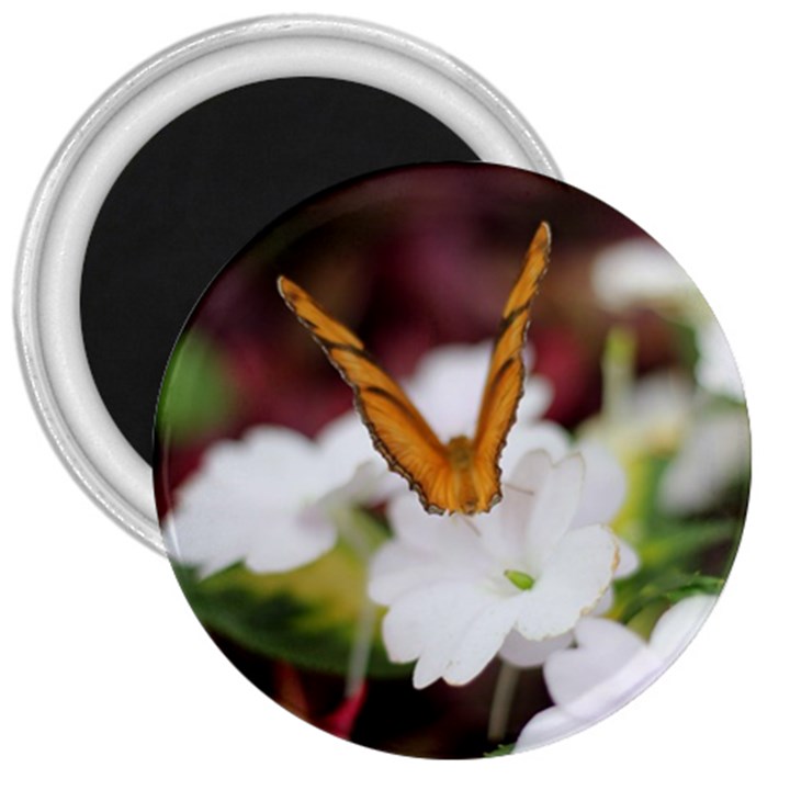 Butterfly 159 3  Button Magnet