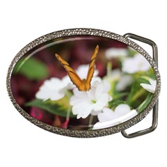 Butterfly 159 Belt Buckle (oval) by pictureperfectphotography