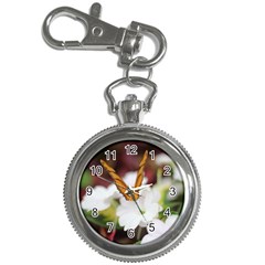 Butterfly 159 Key Chain & Watch