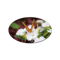 Butterfly 159 Sticker (oval) by pictureperfectphotography