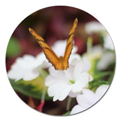 Butterfly 159 Magnet 5  (round) by pictureperfectphotography