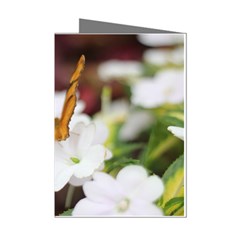 Butterfly 159 Mini Greeting Card (8 Pack)