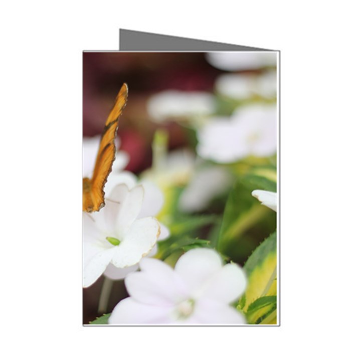 Butterfly 159 Mini Greeting Card (8 Pack)