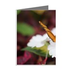 Butterfly 159 Mini Greeting Card (8 Pack) Right