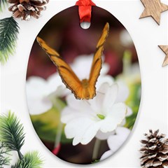 Butterfly 159 Oval Ornament (two Sides) by pictureperfectphotography