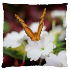 Butterfly 159 Large Cushion Case (two Sides) by pictureperfectphotography