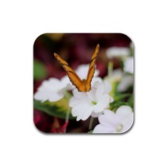 Butterfly 159 Drink Coasters 4 Pack (square) by pictureperfectphotography