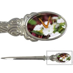 Butterfly 159 Letter Opener by pictureperfectphotography