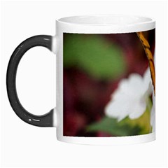 Butterfly 159 Morph Mug by pictureperfectphotography