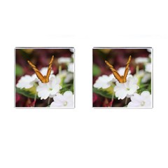 Butterfly 159 Cufflinks (square)