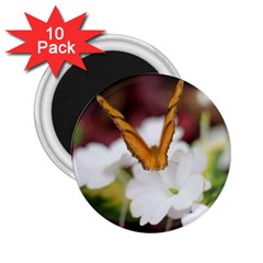 Butterfly 159 2 25  Button Magnet (10 Pack) by pictureperfectphotography