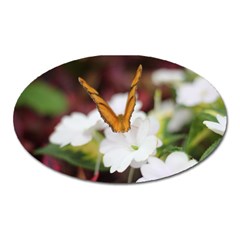 Butterfly 159 Magnet (oval) by pictureperfectphotography