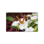 Butterfly 159 Sticker 100 Pack (Rectangle) Front