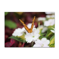 Butterfly 159 A4 Sticker 10 Pack by pictureperfectphotography