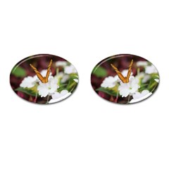 Butterfly 159 Cufflinks (oval) by pictureperfectphotography