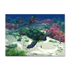 Sea Turtle Sticker A4 (10 Pack) by gatterwe