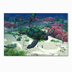 Sea Turtle Postcard 4 x 6  (pkg Of 10)