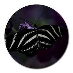 Butterfly 059 001 8  Mouse Pad (round) by pictureperfectphotography