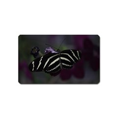 Butterfly 059 001 Magnet (name Card) by pictureperfectphotography