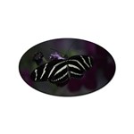 Butterfly 059 001 Sticker 10 Pack (Oval) Front