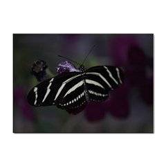 Butterfly 059 001 A4 Sticker 10 Pack