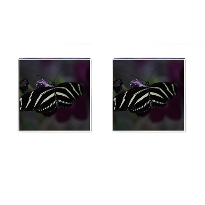 Butterfly 059 001 Cufflinks (Square)