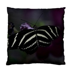 Butterfly 059 001 Cushion Case (one Side) by pictureperfectphotography