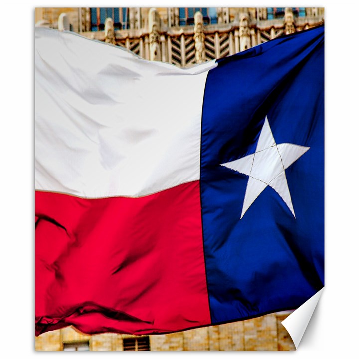 TEXAS Canvas 8  x 10  (Unframed)