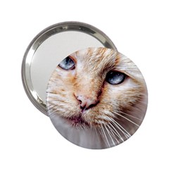 Blue Eyes Handbag Mirror (2 25 ) by dray6389